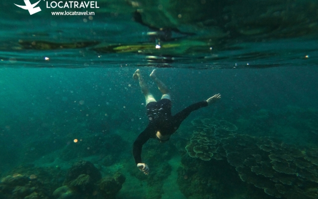 Vé lặn ngắm san hô Bán đảo Sơn Trà