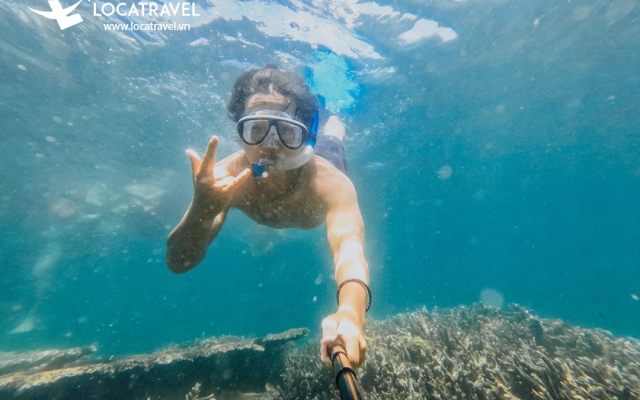 Combo lặn ngắm san hô Sơn Trà 